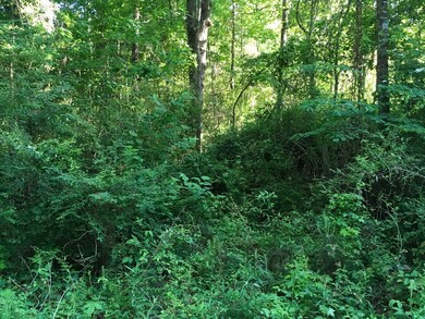 000 Fortenberry Cir, McComb, MS 39648 - photo 5