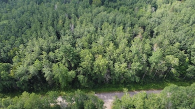 ON Schallock Ln, Crandon, WI 54520 - photo 4