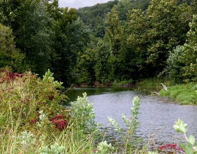 -- Savidge Cir Judy Dr, Bella Vista, AR 72715 - photo 7