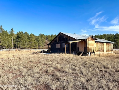 12405 Forest Service 772, Flagstaff, AZ 86001 - photo 3