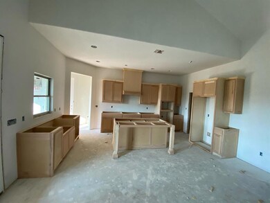 1001 Thompson Rd, Weatherford, TX 76087 - photo 3