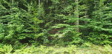 0 Swanzey Lake Rd, Swanzey, NH 03446 - photo 4