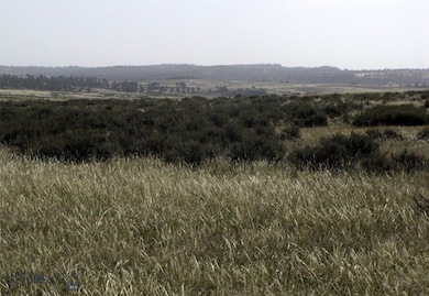 Lindstrom Rd, Shepherd, MT 59079 - photo 5