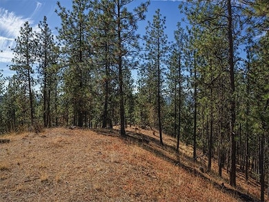 TBD Raven Ridge, Nine Mile Falls, WA 99026 - photo 5