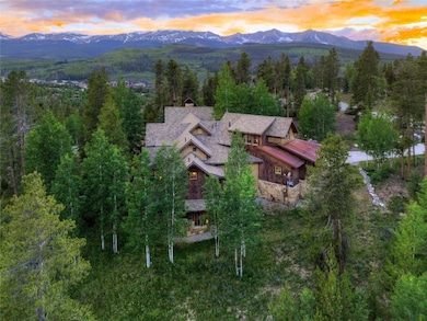 805 Highfield Trail, Breckenridge, CO 80424 - photo 4