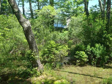 Different Waterview from Yard