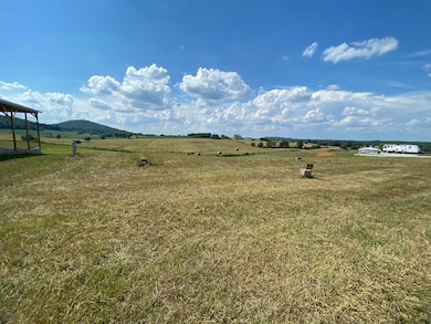 396 Lighthouse Rd, Monticello, KY 42633 - photo 2