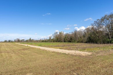 2482 Melba Rd, Pitts, GA 31072 - photo 7