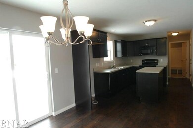 125 N Gadwall Ln, Downs, IL 61736 - photo 5