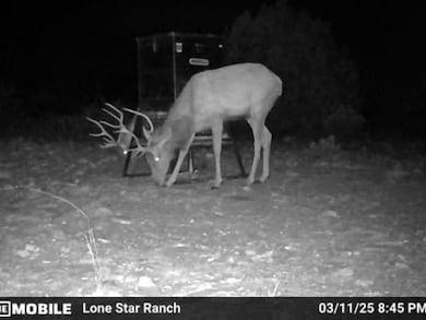 White Mountain Rd, Rocksprings, TX 78880 - photo 6