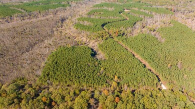 0 Old Highway 18 unit RTC2588334, Stewart, TN 37175 - photo 7