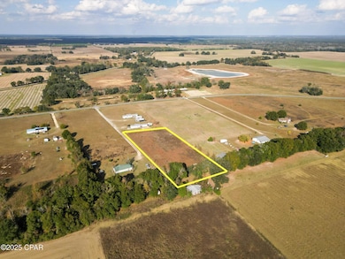 0 Welcome Church Rd unit 782071, Sneads, FL 32460 - photo 7