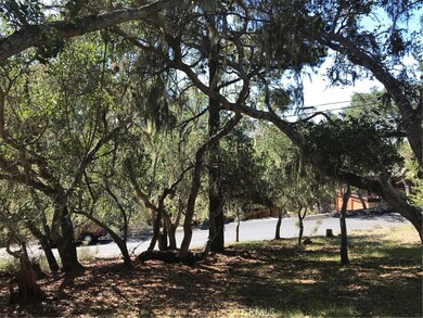 0 Saint James Rd unit SC22215081, Cambria, CA 93428 - photo 3