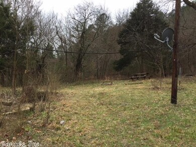 2335 Polk Road 61, Mena, AR 71953 - photo 6