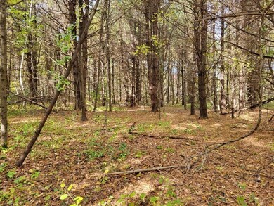 RR Stickney Hill Rd, Union, CT 06076 - photo 4