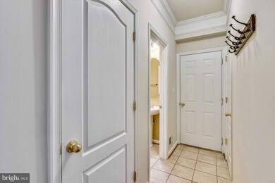 41963 Blue Flag Terrace, Stone Ridge, VA 20105 - photo 7