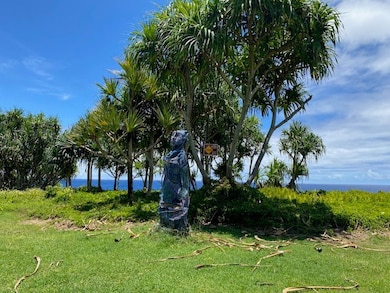 15-174 Puni Lapa Loop N, Hawaiian Beaches, HI 96778 - photo 3