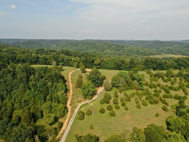 1050 Edmundson Rd, Prospect, TN 38477 - photo 3