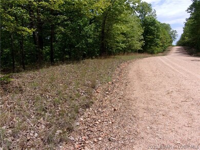 This is more of the road frontage along Silver Cir