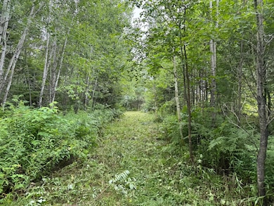 W4514 Cth C, Merrill, WI 54452 - photo 3