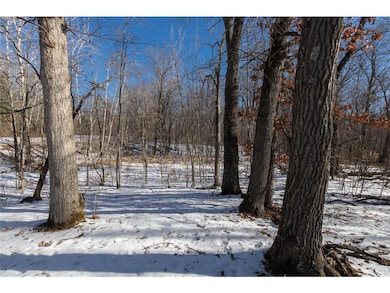 Lot 12 133rd St, Balsam Lake, WI 54001 - photo 4