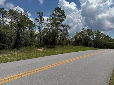 00 SW Rainbow Lakes Blvd, Dunnellon, FL 34431 - photo 2