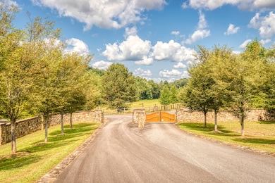 150 Cadence Way, Blue Ridge, GA 30513 - photo 3