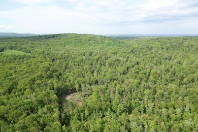 Lot16 Torrey Hill Rd, Turner, ME 04282 - photo 4