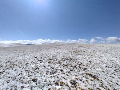 916 Chicha Rd, Hartsel, CO 80449 - photo 6