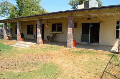 Back Patio