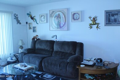 10034 W Andover Ave, Sun City, AZ 85351 - photo 5