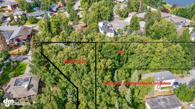 Aerial-house and lot lines