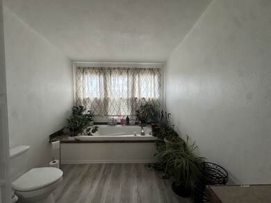 711 Elm St, Carlin, NV 89822 - photo 4