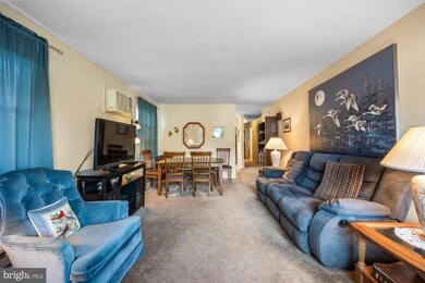 221 Elmtowne Blvd, Hammonton, NJ 08037 - photo 5