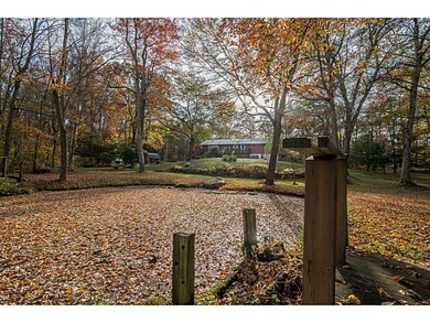 Yard/Garden.