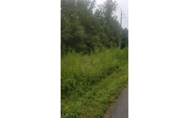 0 Turner Ave NW unit 116472, Lake City, FL 32055 - photo 2