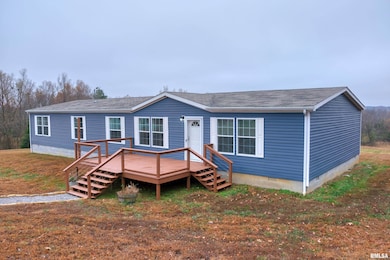 890 Gilead Church Rd, Vienna, IL 62995 - photo 6