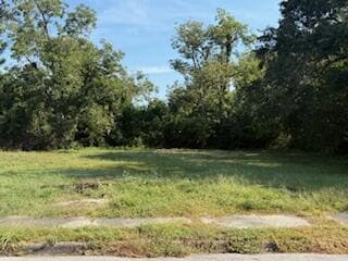 1929 Watkins St, Augusta, GA 30904 - photo 2