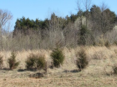 Lot 5 Rock Springs Rd, Kingsport, TN 37664 - photo 4