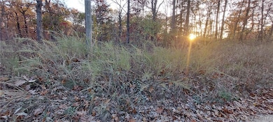 4268 Saw Mill Rd, Unincorporated, MO 65078 - photo 3