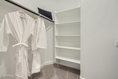 Owner's Suite Walk in Closet