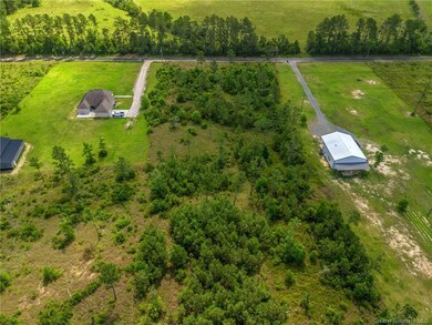 0 Harvey Parker Rd unit SWL25003392, Dequincy, LA 70633 - photo 5