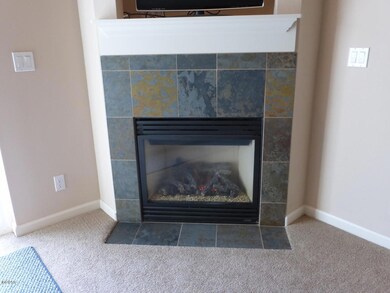 Gas fireplace