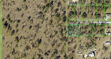 14056 Race Ave, Weeki Wachee, FL 34614 - photo 2