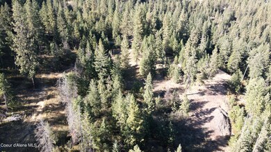 Drone - Looking up top 5 acres