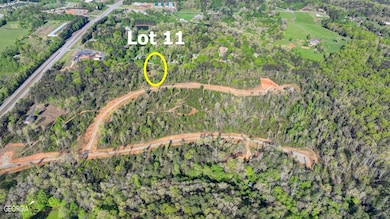 LOT 11 Greenfield Rd, Morganton, GA 30560 - photo 6