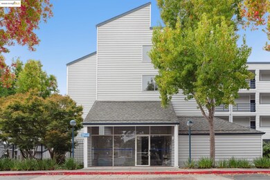 1207 Melville Square unit 417, Richmond, CA 94804 - photo 2