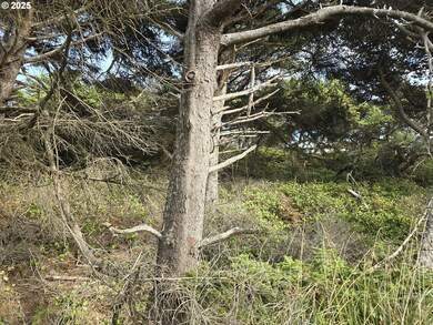 0 Lookout St unit 2, Florence, OR 97439 - photo 7