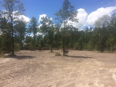 148 Scenic Stream Cir, Crawfordville, FL 32327 - photo 2