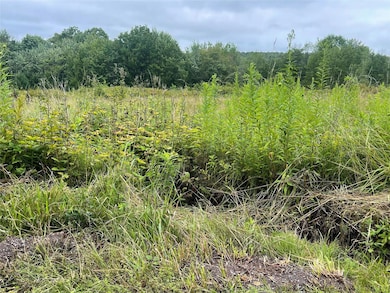 0 Basil Todd Rd, Middletown, NY 12430 - photo 7